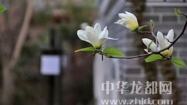 淮陽蓮舍，多了一份味道