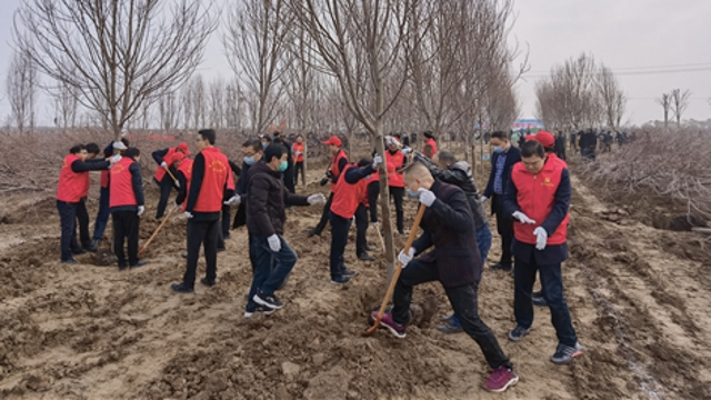 栽下樹苗，留下新綠