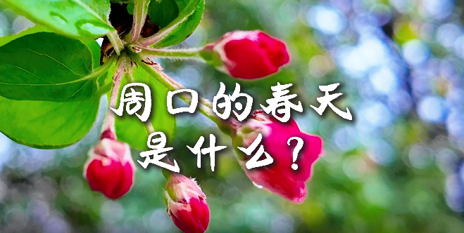 周口的春天，待你慢慢遇見